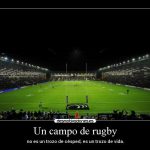 campo de rugby