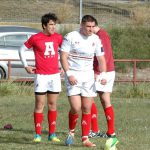 rugby arquitectura 2019